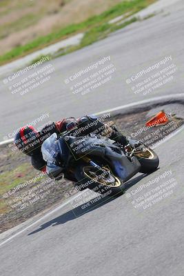 media/Mar-12-2023-2WTD (Sun) [[1973d9d700]]/B Group/220pm (Turn 4)/